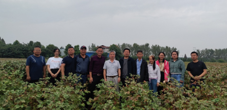 全省棉花高效种植技术协作研究联盟学术研讨活动在荆启航